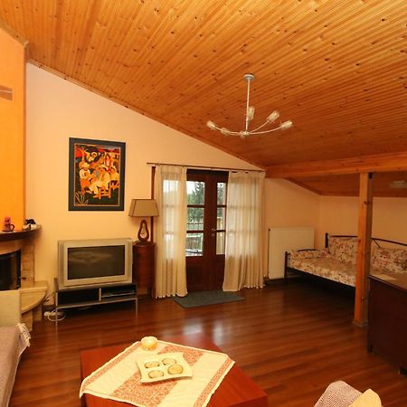 Pantso Villa Nea Iraklitsa エクステリア 写真
